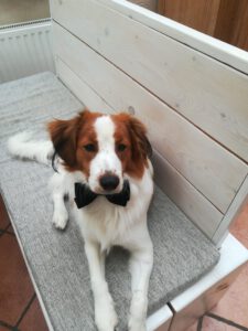 Charly