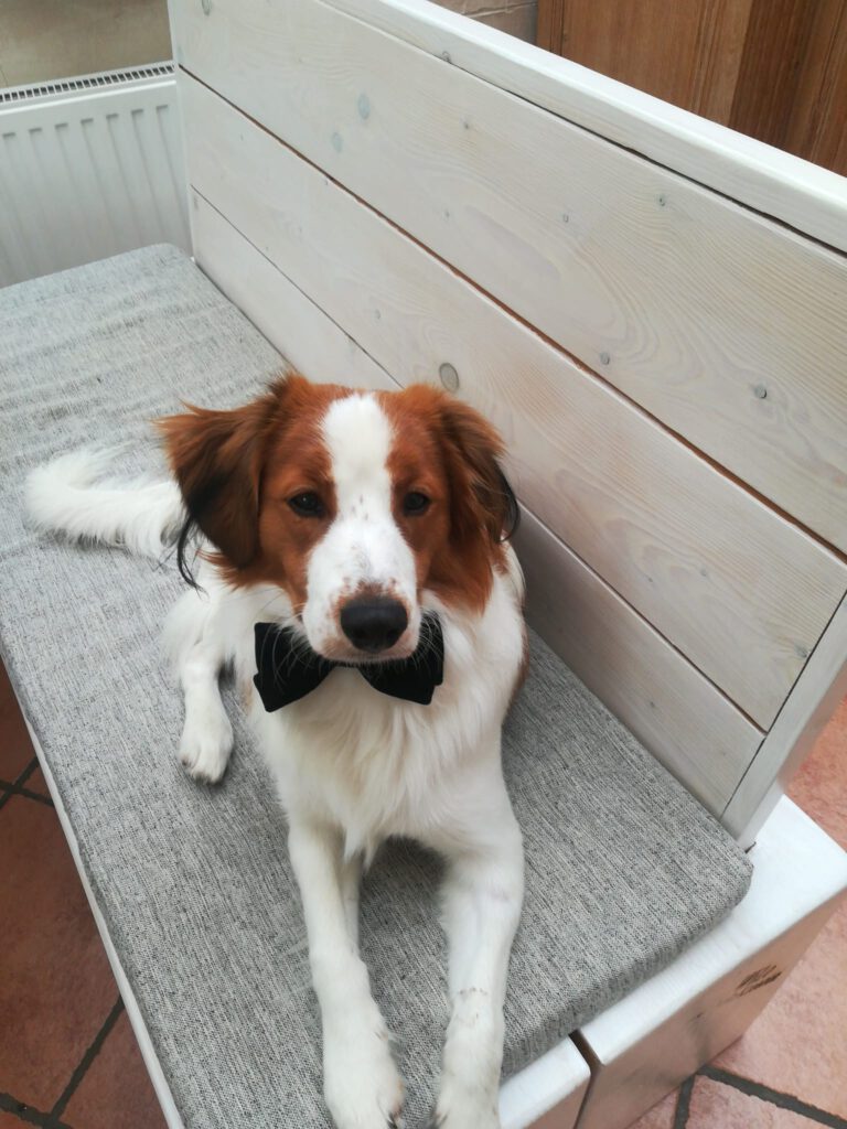 Charly