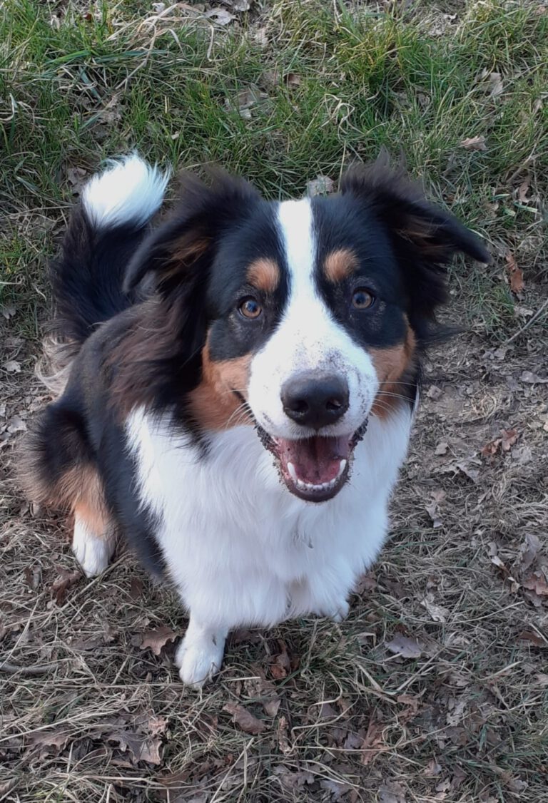 Lenny