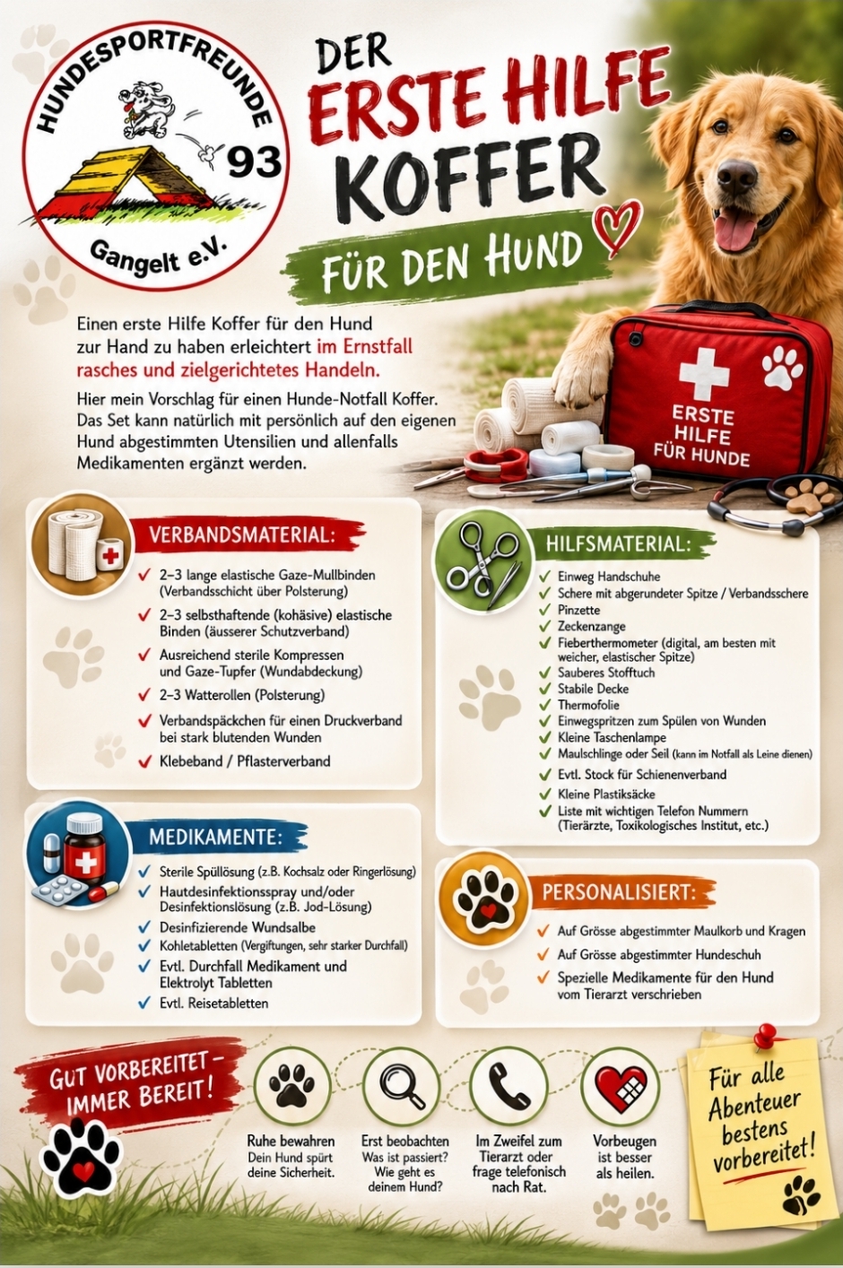 Der Erste-Hilfe-Kasten für den Hund