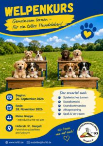 Welpenkurs HSF93 September 2026